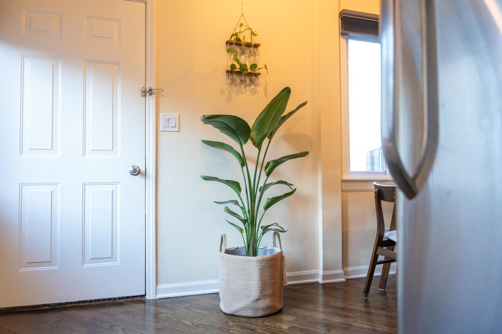 Bucktown Private Condo シカゴ エクステリア 写真